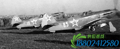 盟友误打误撞:二战美苏空中恶战埋下冷战祸根