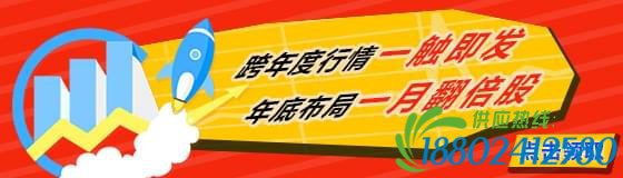 投顾活动