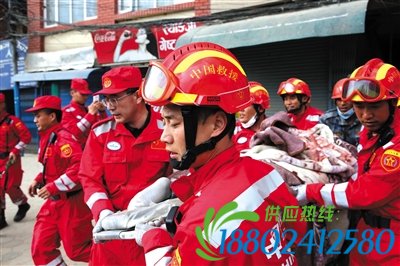 尼泊尔答谢中国援助 免中国公民签证费