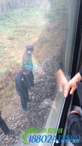 佳木斯一男子在铁道线上与火车相撞身亡(图)