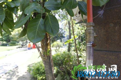 业主反映，送油车通过这根垂下来的小管向屋顶的油罐送油