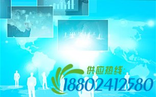 一览全球大数据战略众生相