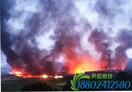组图：广州沿江高速40吨油罐车爆炸已致20人死亡