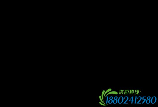交警给百姓发放宣传资料