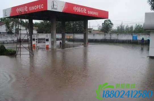 加油站发现油罐车,千万别加油!(内附加油锦