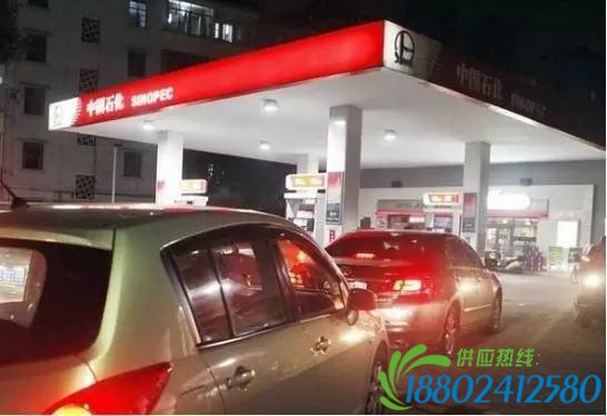 加油站发现油罐车,千万别加油!(内附加油锦