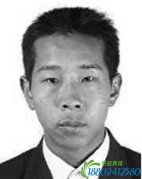 7人醉驾肇事逃逸成全国追缉逃