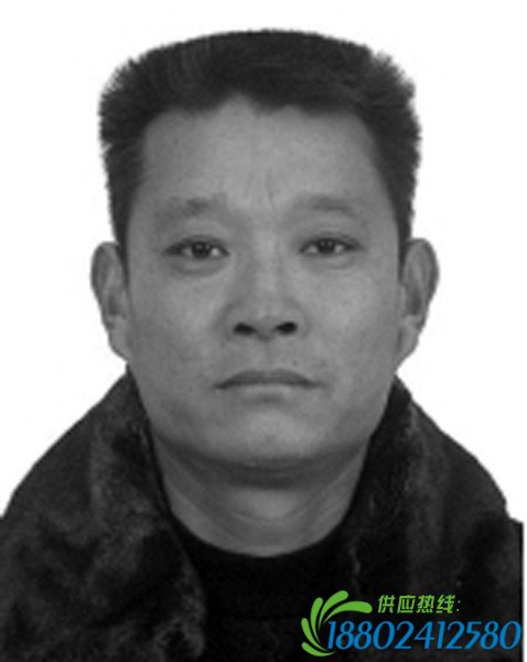 7人醉驾肇事逃逸成全国追缉逃