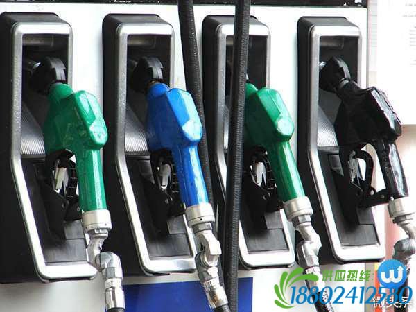 怎样加油才最省钱?加油站员工悄悄透露加油省