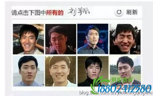 傻傻分不清！那些因为撞脸被玩坏了的明星