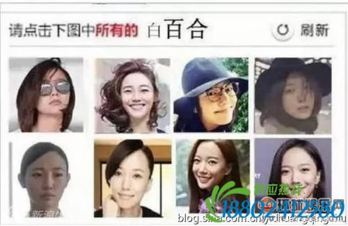 傻傻分不清！那些因为撞脸被玩坏了的明星