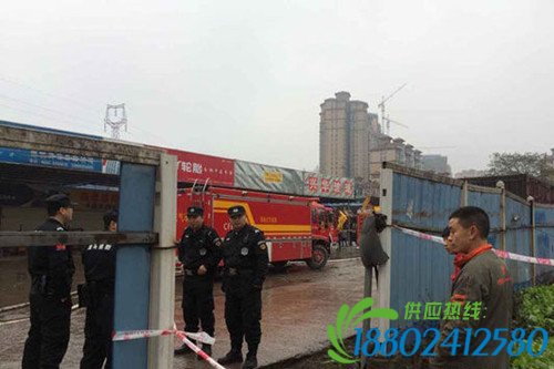 B6F651EC075D50029B3DF0AD32EB48D6