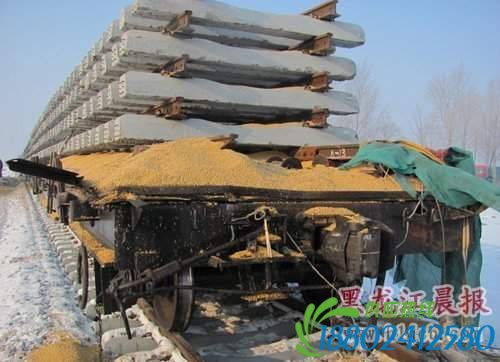 哈尔滨货车与火车相撞 