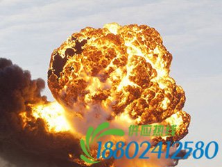  美国两列火车相撞爆炸起火