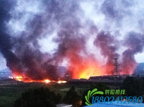 广州油罐车爆炸事故：货车与油罐车追尾致油罐