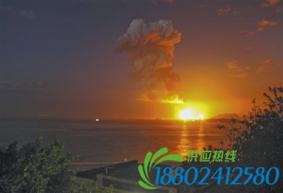 漳州PX爆炸尚无污染物入海 居民称当地下起黑雨