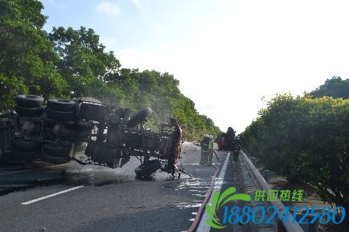 事发沈海高速阳西段距离阳西织篢出口约3公里
