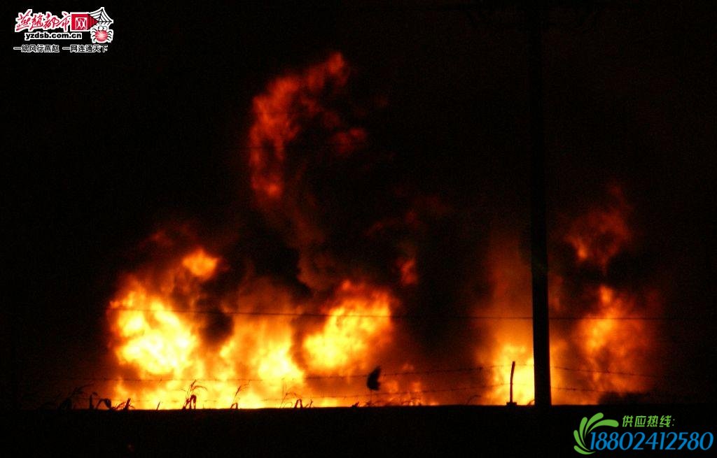 沧州一炼油厂油罐车爆炸引发大火7辆油罐车报废