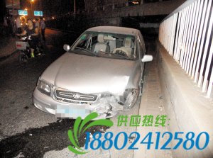 撞上护栏 夏利车伤了
