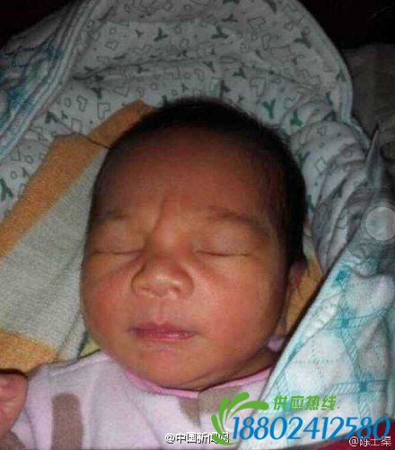 中国新闻网/福建