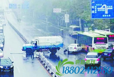 环卫车撞上了隔离护栏。（网友供图）