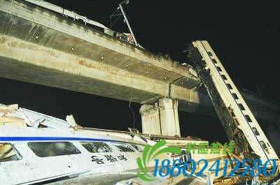 永不抵达的列车:纪念温州动车事故遇难的两名