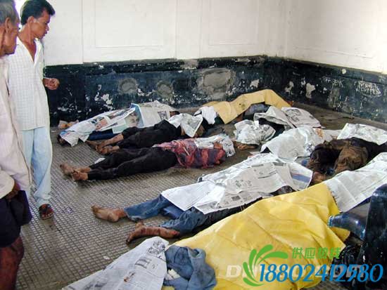 图文:印尼两列火车相撞致55人死亡