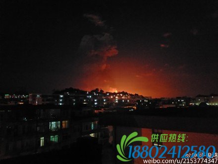 福建古雷PX项目再次发生爆炸 现场腾起蘑菇云