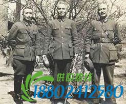 白崇禧台北突然暴毙内幕：全身赤裸死在情人床
