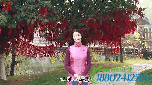 【网络书香·节日读书④】元宵节——火树银花