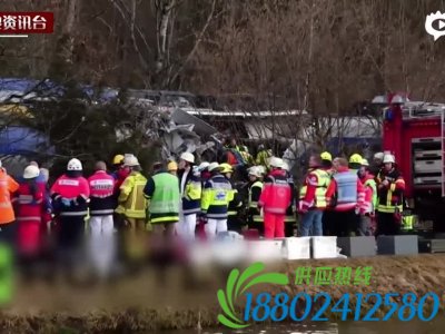 德国两列火车相撞致8死150多人伤55人重伤