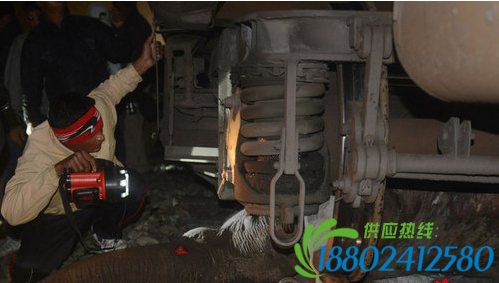 火车与大象相撞 火星撞地球大象惨死
