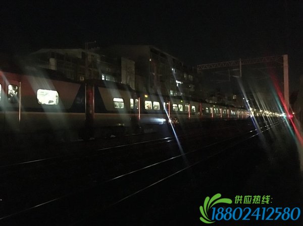 　　目前台铁南下列车全部停驶。 图片来源：台湾《联合报》