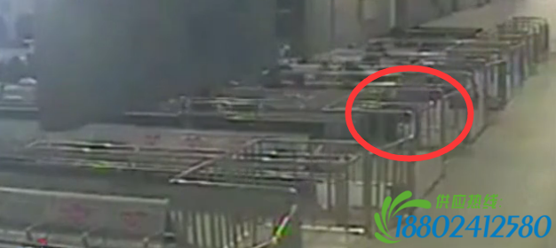 监控：男子候车室突撞护栏 头被卡住拔不出