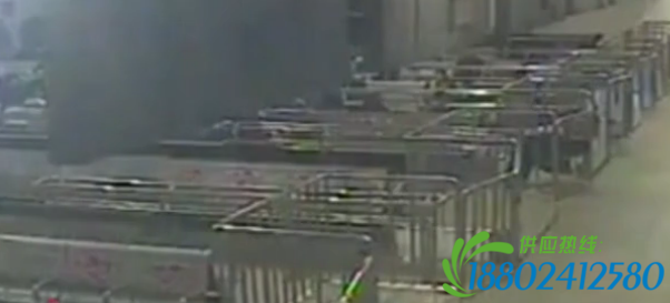 监控：男子候车室突撞护栏 头被卡住拔不出