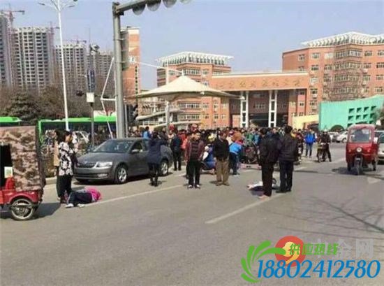 河南越野车撞学生致1死11伤 正处退休干部对社会不满