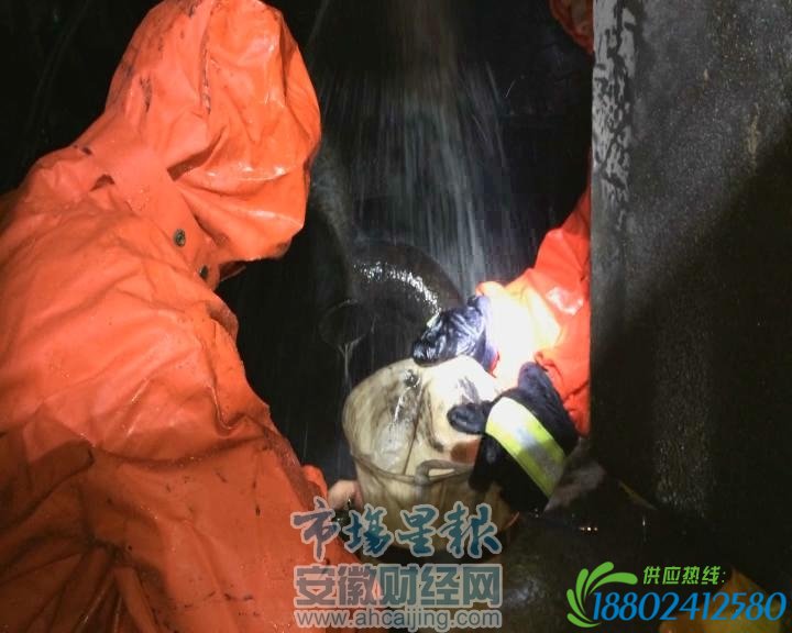 消防正在进行救援