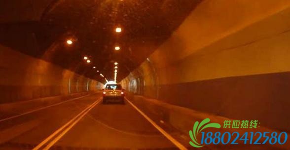 对向油罐车连按喇叭被认为在挑衅,最后大家都