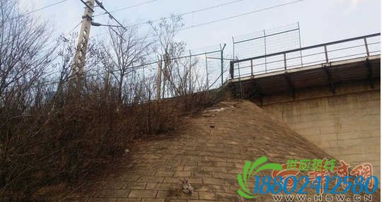 火车碾死90只羊:被碾成块状 很难有完整的 盘点冬