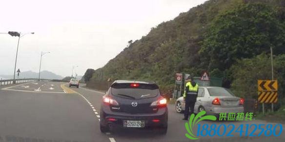 对向油罐车连按喇叭被认为在挑衅,最后很后悔