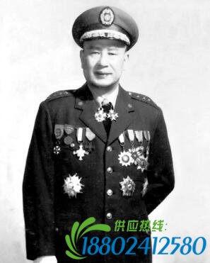 揭秘白崇禧死在女护士身上背后的真相