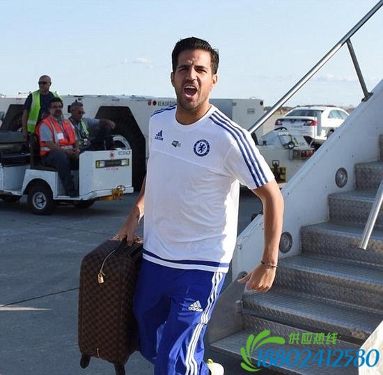 刚迎来第二个女儿的小法精神焕发