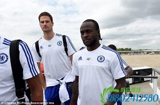 “新面孔”（贝戈维奇和摩西）