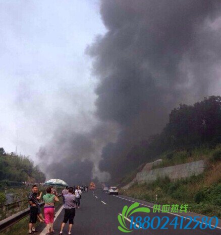 乐宜高速犍为路段发生油罐车燃烧