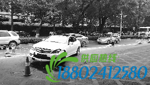 一辆白色奔驰车撞倒了路中央的护栏