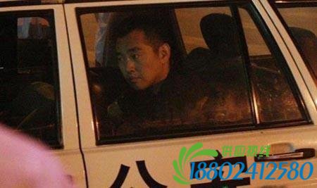 体坛路怒一族：王治郅拳打脚踢，孔令辉因此退