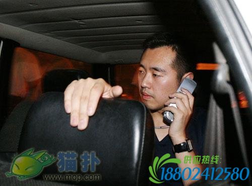 体坛路怒一族：王治郅拳打脚踢，孔令辉因此退