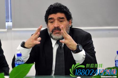 体坛路怒一族：王治郅拳打脚踢，孔令辉因此退