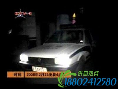 体坛路怒一族：王治郅拳打脚踢，孔令辉因此退