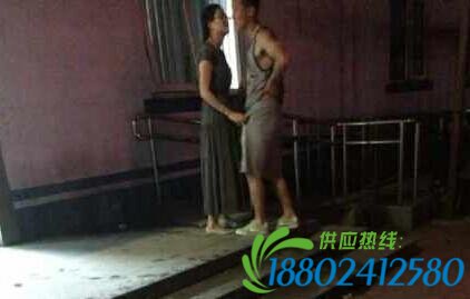 体坛路怒一族：王治郅拳打脚踢，孔令辉因此退